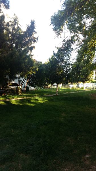 Herastrau, Piata Presei, B-dul Poligrafiei nr. 20